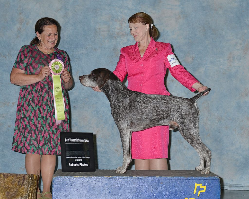 _Nike Best Vet in Spec Sweeps GSPCO Show 2 - 20 July 2018 Age 10 and a half