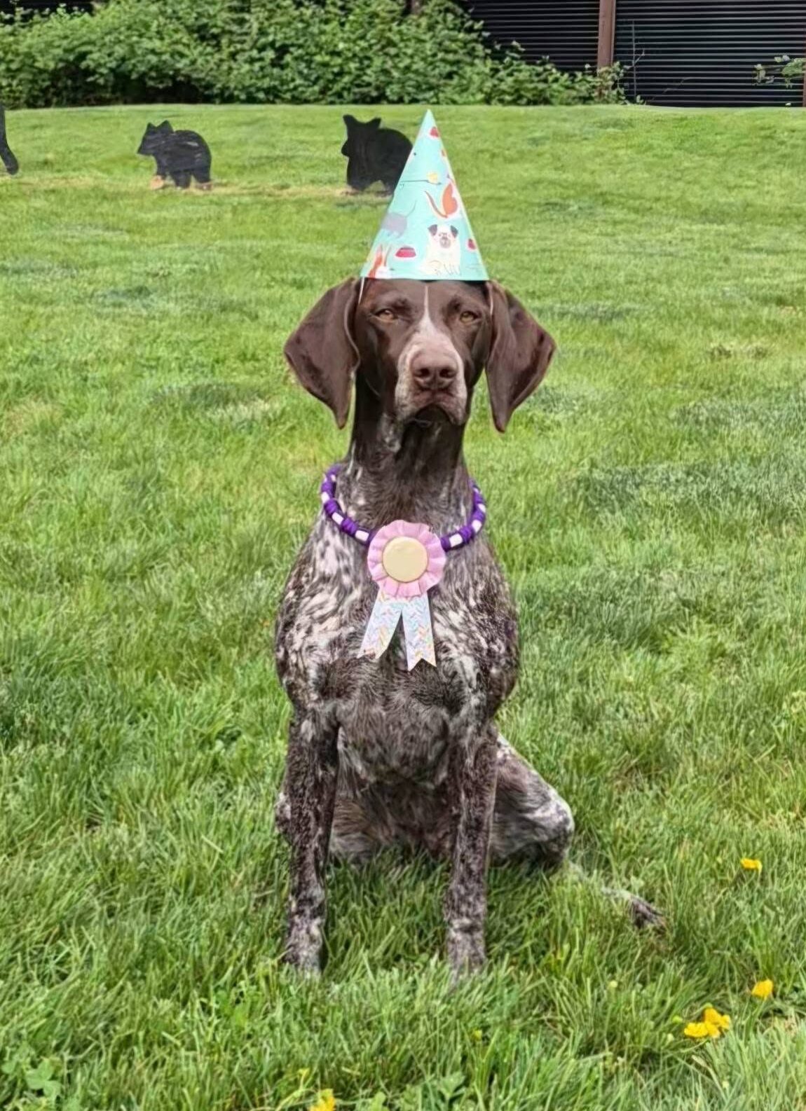Oaklee HBD 2 yrs